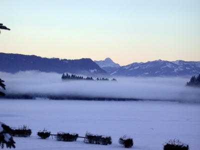 Morgennebel im Allgäu