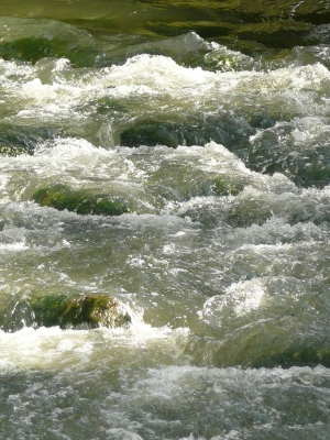 Wildwasser