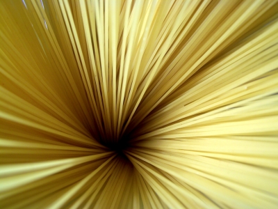 Spaghetti-Herz
