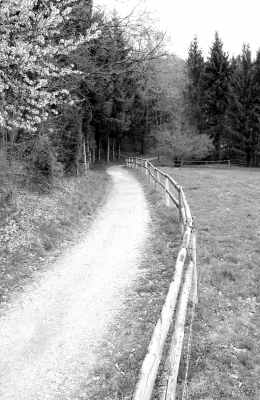 mein weg in s/w