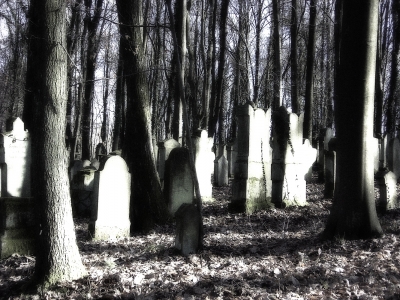 Judenfriedhof 3
