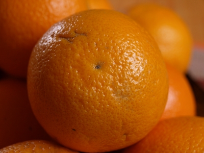 Tangerine Zoro