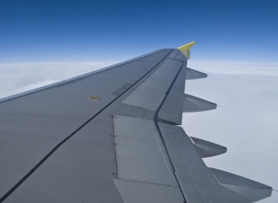 A319-100 Winglet 1