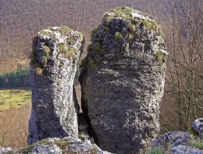 Felsenpaar