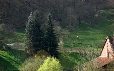 Blick aus meinem Küchenfenster