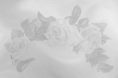 SW-Hintergrund mit Rosen