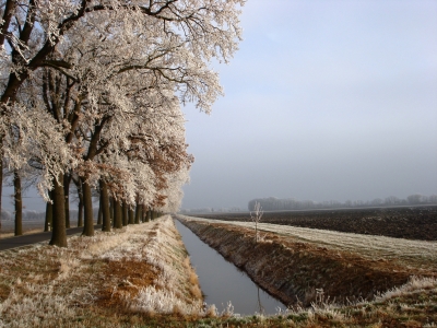Winterbild im Oderbruch