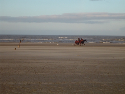 Reiter am Strand von Norderney