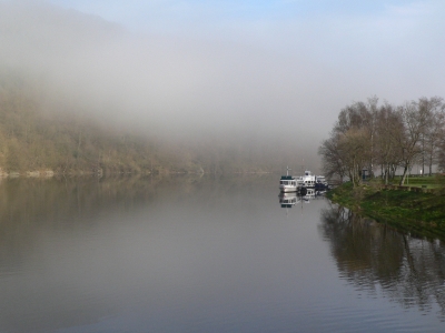 Morgens am See