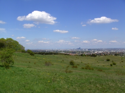 Blick auf Wien