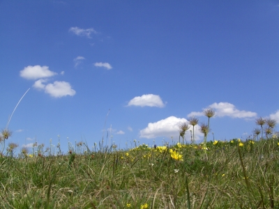 Ein Blick in den Himmel