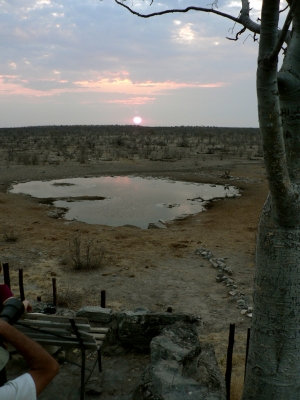 Das Wasserloch am Halali-Camp