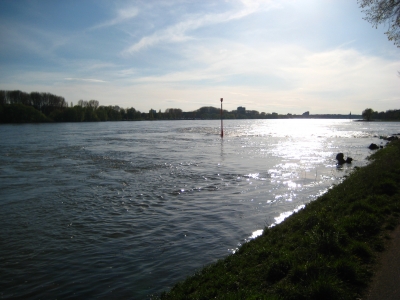 Der Rhein im Gegenlicht