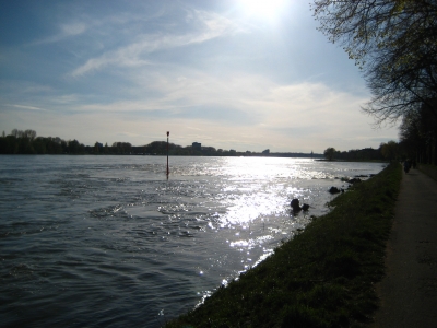 Der Rhein im Gegenlicht 2