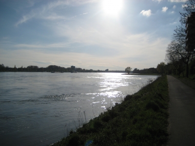 Der Rhein im Gegenlicht 3