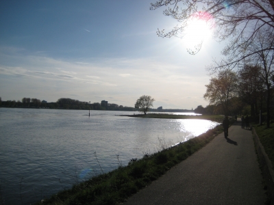 Der Rhein im Gegenlicht 4