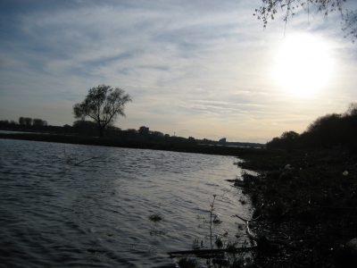 Der Rhein im Gegenlicht 6