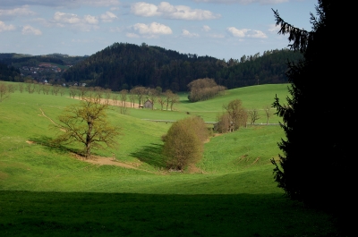 Landschaft I