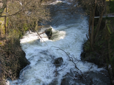 Wasserfall an der Ruwer