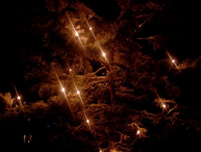 Nacht am verschneiten Weihnachtsbaum