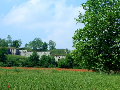 alte Festung mit Mohnfeld
