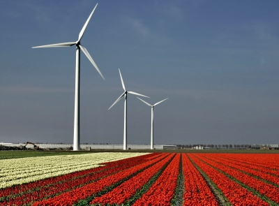Tulpenfelder in Holland bund