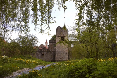 Burgruine Daisbach