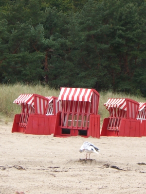 Rügen3 - Strand bei Sellin