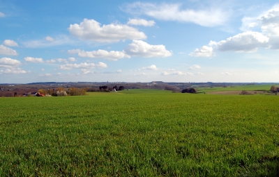 Frühling im Bergischen Land #2