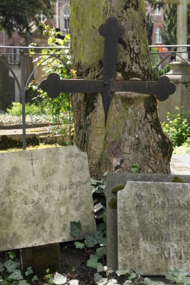 Kreuz im Baum