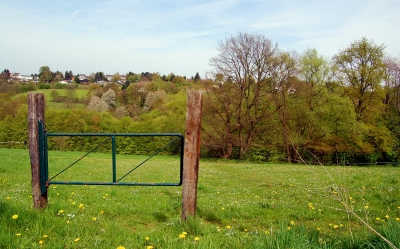 Frühling im Bergischen Land #3