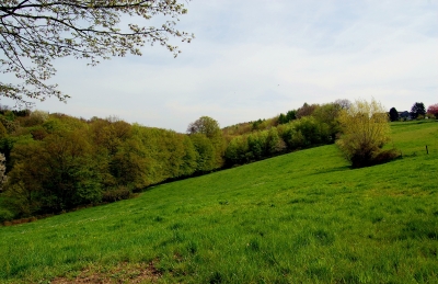 Frühling im Bergischen Land #9