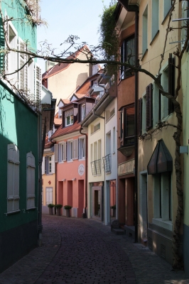 Frühlingsstimmung in Freiburg (1)