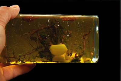 aromatisiertes Olivenöl 4