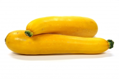 gelbe Zucchini 2