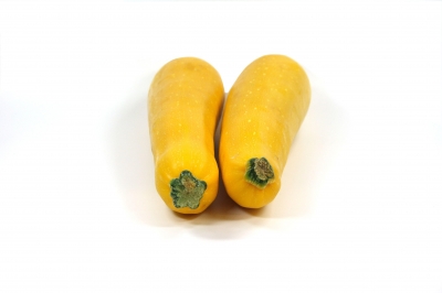 gelbe Zucchini 3