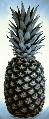 Ananas 1