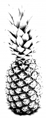 Ananas 4