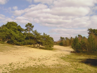 Sandlandschaft