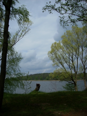 Knappensee im Frühling