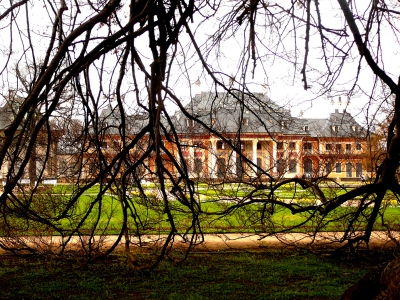 Dresden - Schlosspark Pillnitz 02