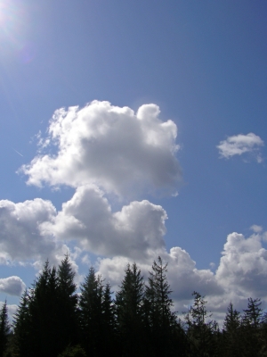 Schwarzwald vor blauem Himmel mit Wolken