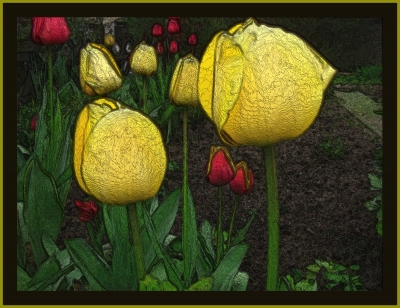 Tulpen....mit Kunsteffekt