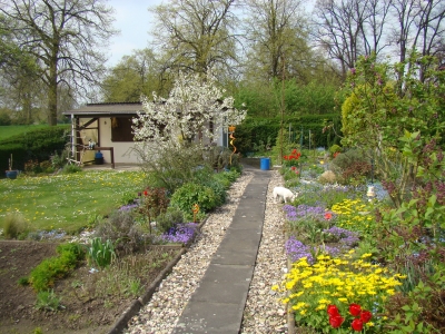 Der Garten im Frühling