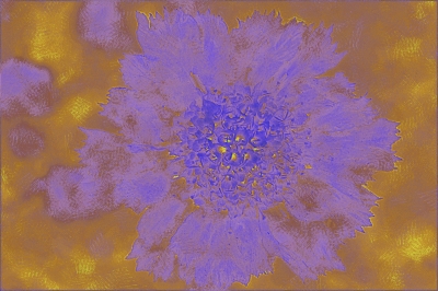 Hintergrund - blaue Blüte