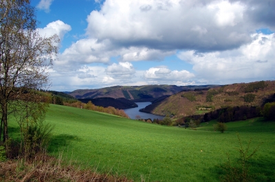 Blick auf die Rurtalsperre (Eifel)