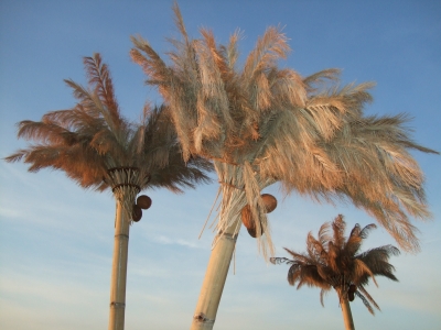 künstliche Palmen 3