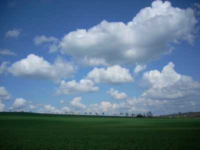 Frühlingslandschaft