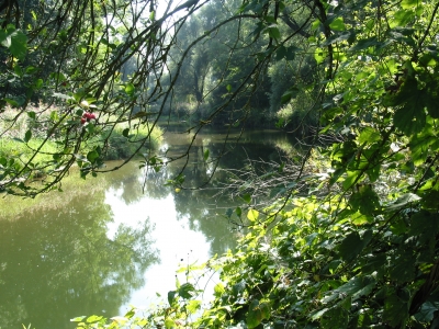 Idyllischer Bach