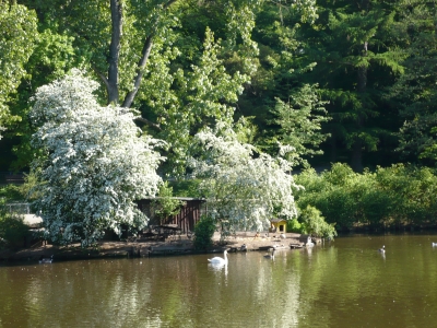 Volksgarten in Letmathe